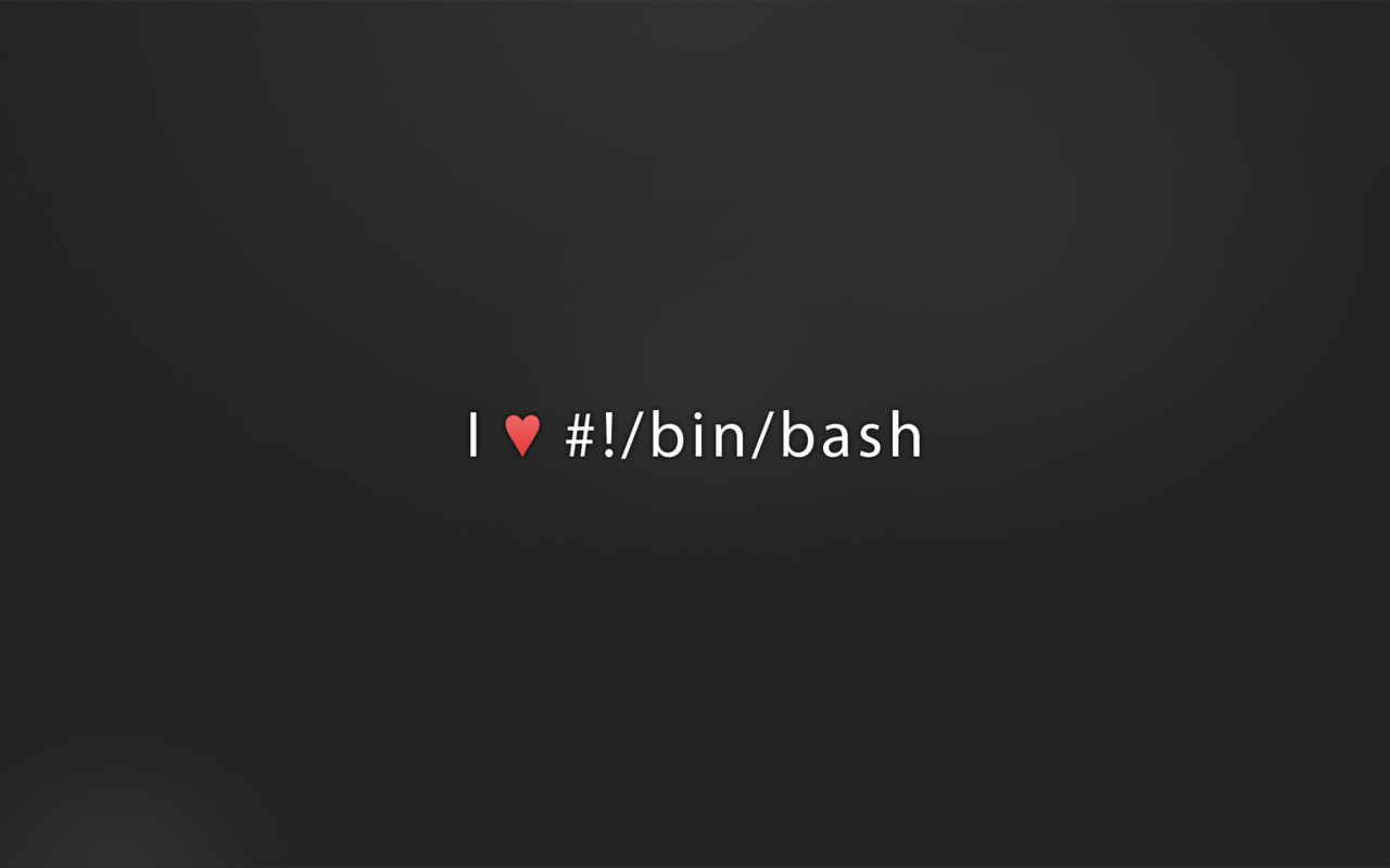 bash-programming-14558