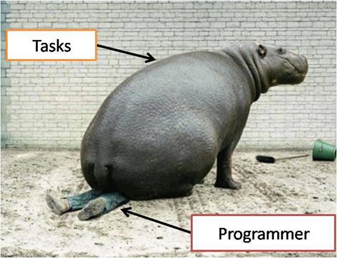 task-vs-programmer